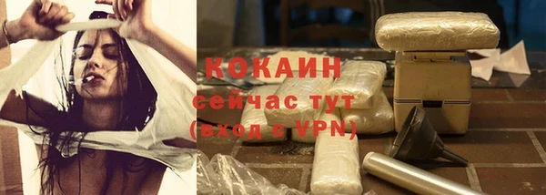 тгк Болотное