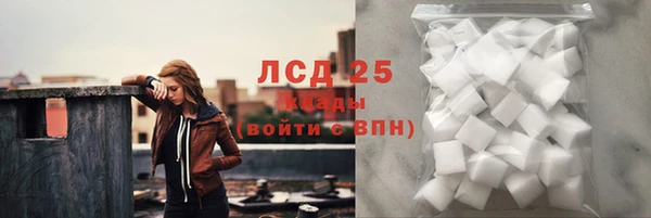 тгк Болотное