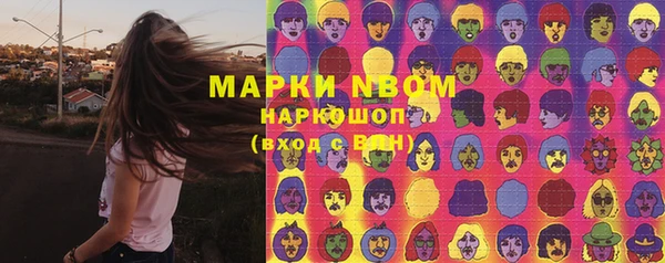 тгк Болотное