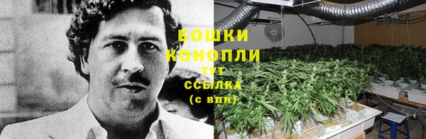дживик Березники